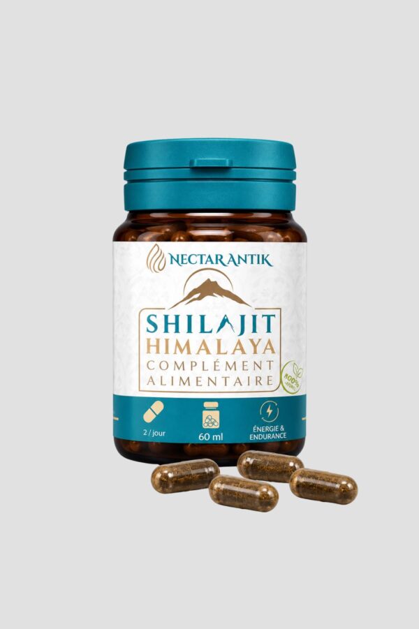 GÉLULES DE SHILAJIT D'HIMALAYA NECTAR ANTIK 